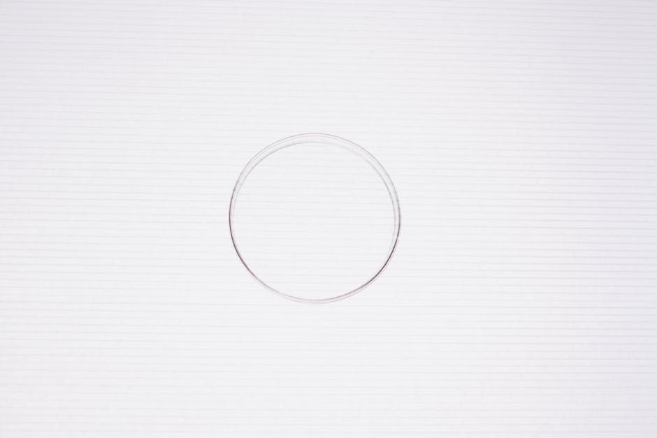 Minimalist design circle