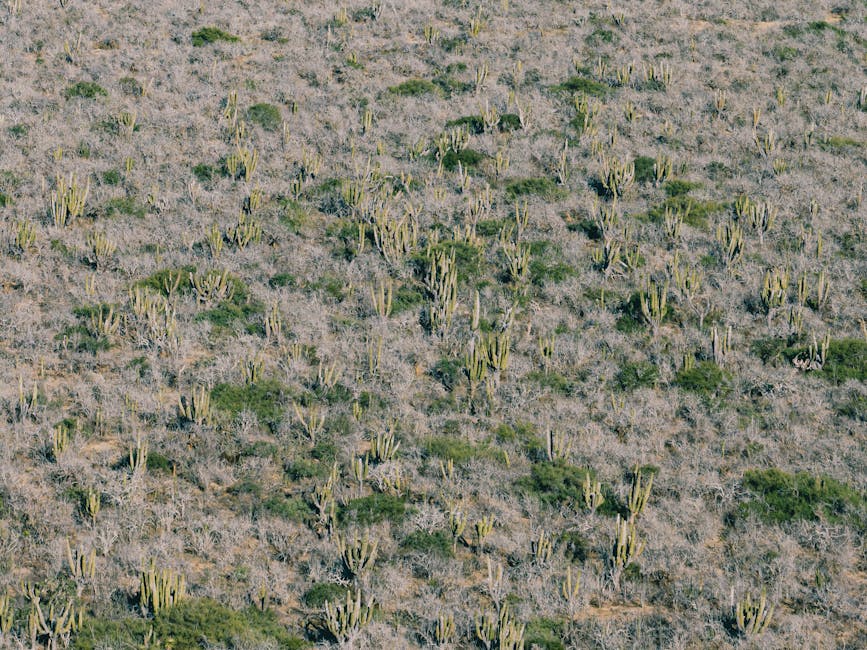 Aerial view of expansive resource landscape